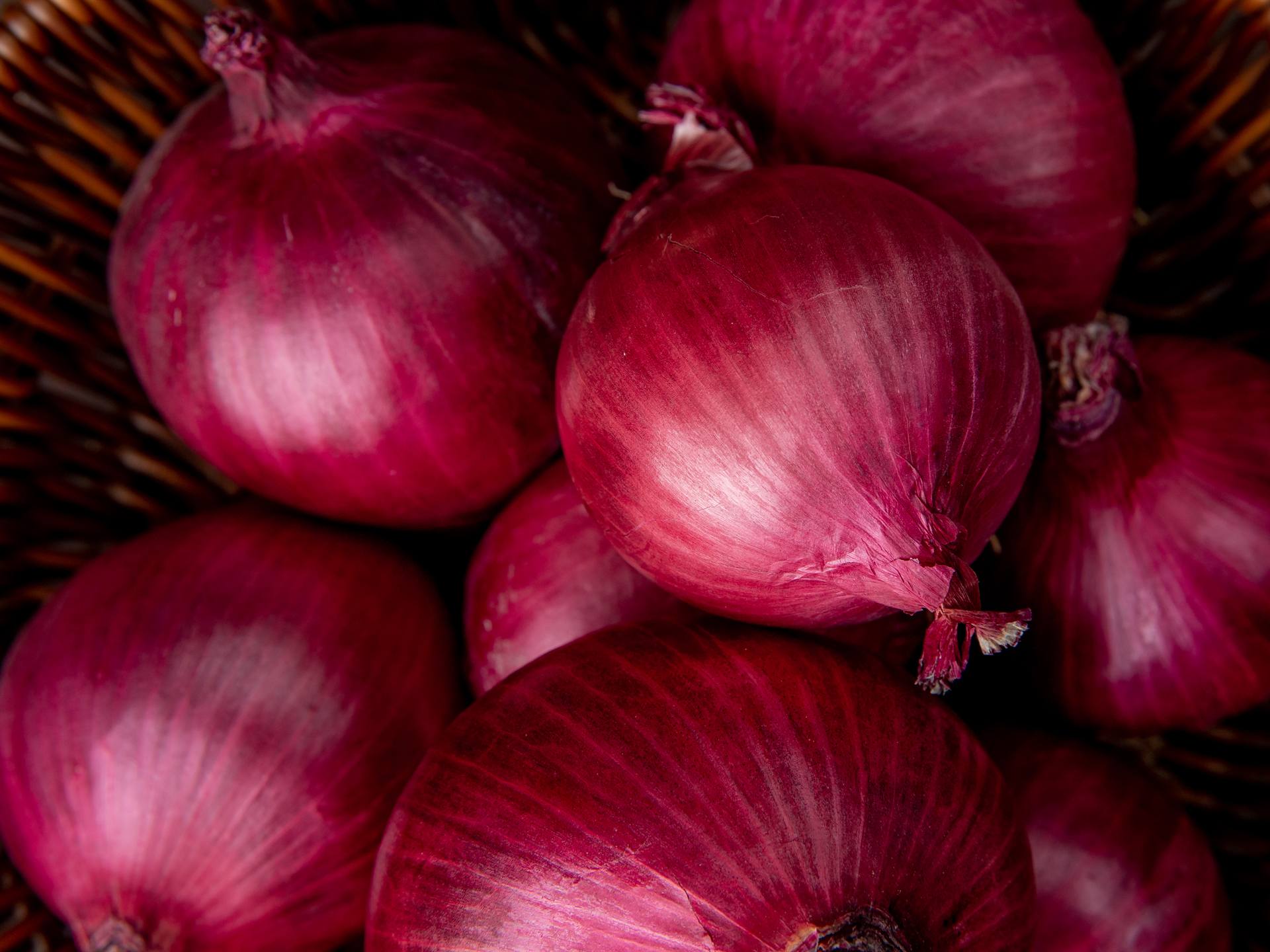 Export-grade red onions after harvest