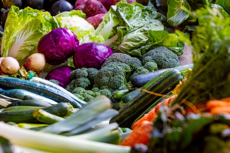 Fresh vegetables ready for export — cabbage, broccoli, zucchini, and carrots